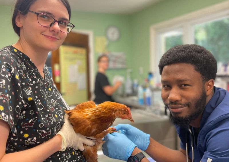 Carousel Slide 5: Bird veterinary care