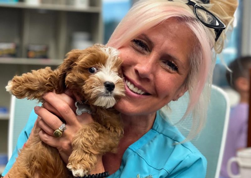 Carousel Slide 3: Dog veterinary care