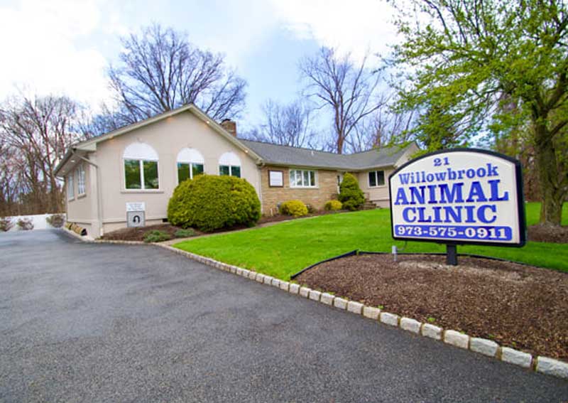 Carousel Slide 2: Learn more about us